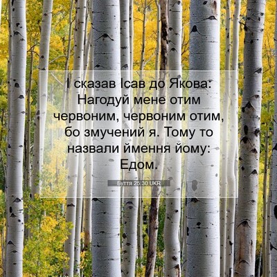 Picture 07 - Буття 25:30 UKR - І сказав Ісав до Якова: - Bible Verse Picture