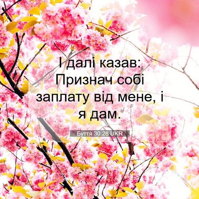 Picture 07 - Буття 30:28 UKR - І далі казав: Признач собі - Bible Verse Picture