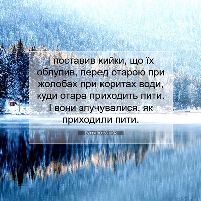 Picture 07 - Буття 30:38 UKR - І поставив кийки, що їх - Bible Verse Picture