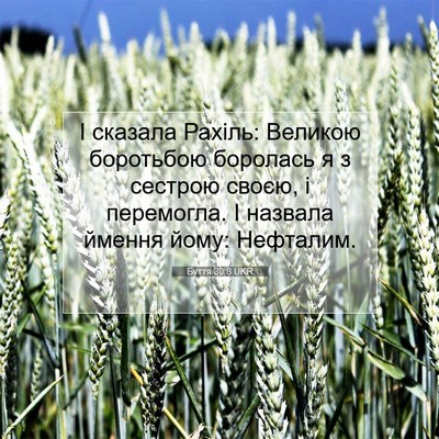 Picture 07 - Буття 30:8 UKR - І сказала Рахіль: Великою - Bible Verse Picture
