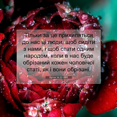 Picture 07 - Буття 34:22 UKR - Тільки за це прихиляться - Bible Verse Picture