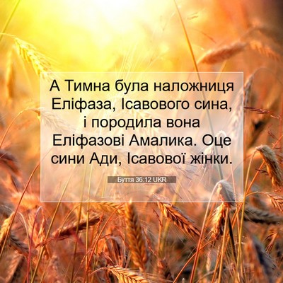 Picture 07 - Буття 36:12 UKR - А Тимна була наложниця - Bible Verse Picture