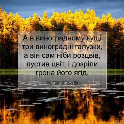 Picture 07 - Буття 40:10 UKR - А в виноградному кущі три - Bible Verse Picture