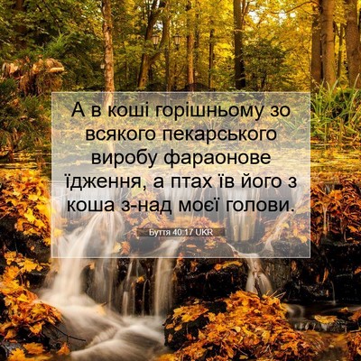 Picture 07 - Буття 40:17 UKR - А в коші горішньому зо - Bible Verse Picture