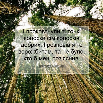 Picture 07 - Буття 41:24 UKR - І проковтнули ті тонкі - Bible Verse Picture