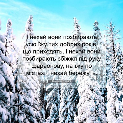 Picture 07 - Буття 41:35 UKR - І нехай вони позбирають - Bible Verse Picture