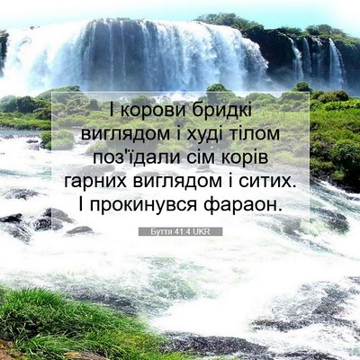 Picture 07 - Буття 41:4 UKR - І корови бридкі виглядом і - Bible Verse Picture