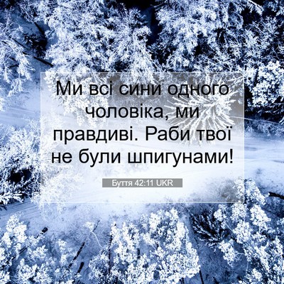 Picture 07 - Буття 42:11 UKR - Ми всі сини одного - Bible Verse Picture
