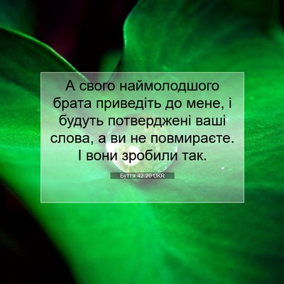 Picture 07 - Буття 42:20 UKR - А свого наймолодшого брата - Bible Verse Picture