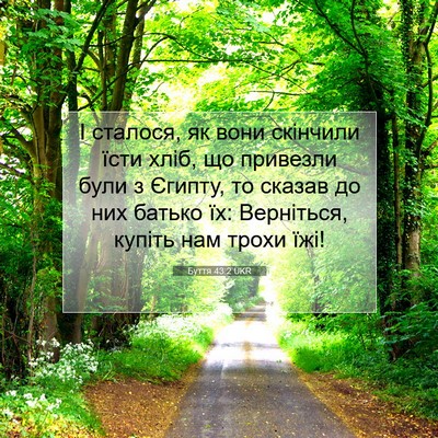 Picture 07 - Буття 43:2 UKR - І сталося, як вони скінчили - Bible Verse Picture