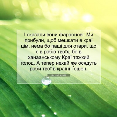 Picture 07 - Буття 47:4 UKR - І сказали вони фараонові: - Bible Verse Picture