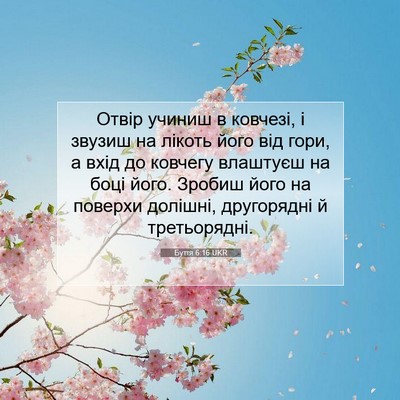 Picture 07 - Буття 6:16 UKR - Отвір учиниш в ковчезі, і - Bible Verse Picture