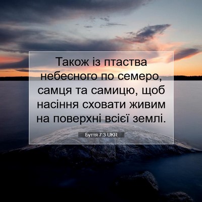 Picture 07 - Буття 7:3 UKR - Також із птаства небесного - Bible Verse Picture