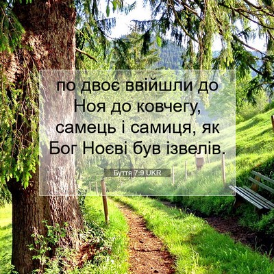 Picture 07 - Буття 7:9 UKR - по двоє ввійшли до Ноя до - Bible Verse Picture