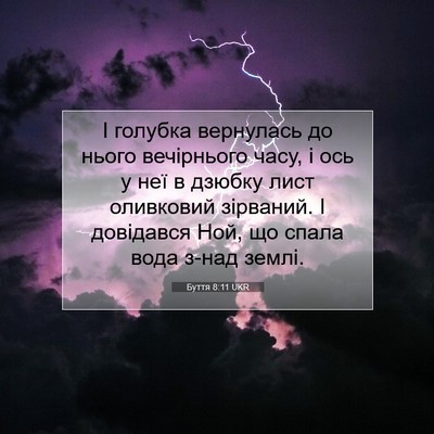 Picture 07 - Буття 8:11 UKR - І голубка вернулась до - Bible Verse Picture