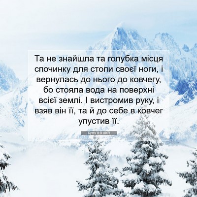 Picture 07 - Буття 8:9 UKR - Та не знайшла та голубка - Bible Verse Picture