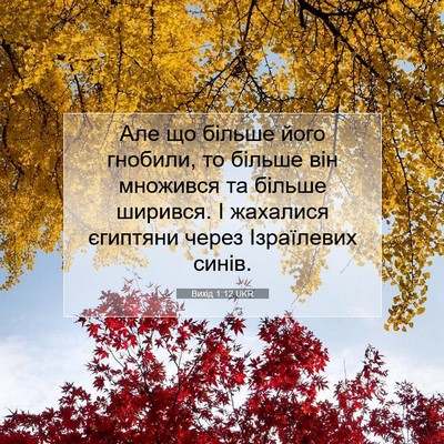 Picture 07 - Вихід 1:12 UKR - Але що більше його гнобили, - Bible Verse Picture