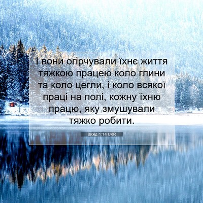 Picture 07 - Вихід 1:14 UKR - І вони огірчували їхнє - Bible Verse Picture