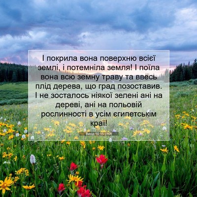 Picture 07 - Вихід 10:15 UKR - І покрила вона поверхню - Bible Verse Picture
