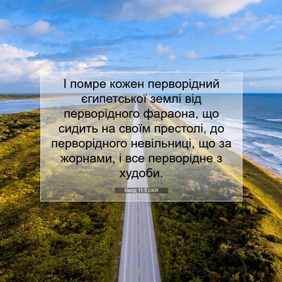 Picture 07 - Вихід 11:5 UKR - І помре кожен перворідний - Bible Verse Picture