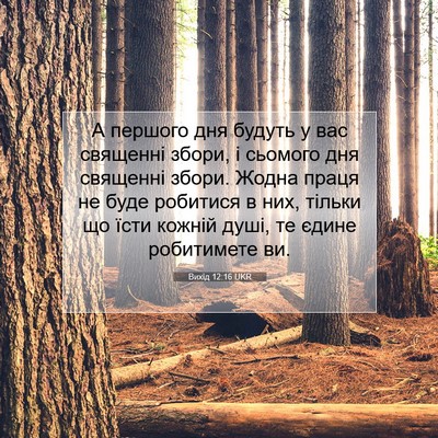 Picture 07 - Вихід 12:16 UKR - А першого дня будуть у вас - Bible Verse Picture