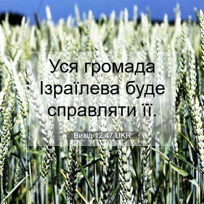 Picture 07 - Вихід 12:47 UKR - Уся громада Ізраїлева буде - Bible Verse Picture