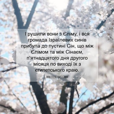 Picture 07 - Вихід 16:1 UKR - І рушили вони з Єліму, і вся - Bible Verse Picture