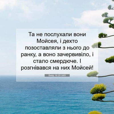 Picture 07 - Вихід 16:20 UKR - Та не послухали вони - Bible Verse Picture