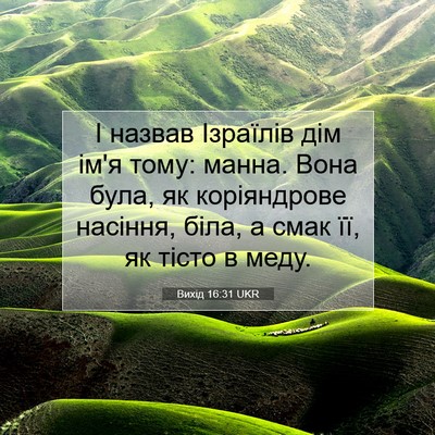 Picture 07 - Вихід 16:31 UKR - І назвав Ізраїлів дім ім'я - Bible Verse Picture