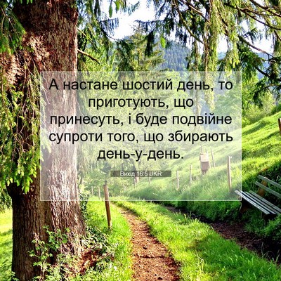 Picture 07 - Вихід 16:5 UKR - А настане шостий день, то - Bible Verse Picture