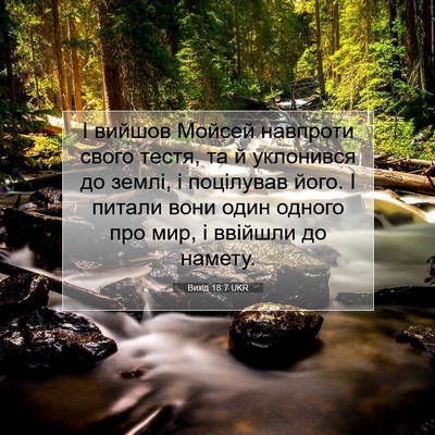 Picture 07 - Вихід 18:7 UKR - І вийшов Мойсей навпроти - Bible Verse Picture