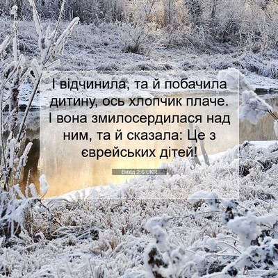 Picture 07 - Вихід 2:6 UKR - І відчинила, та й побачила - Bible Verse Picture