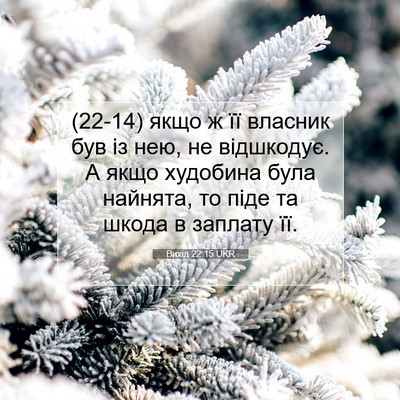 Picture 07 - Вихід 22:15 UKR - (22-14) якщо ж її власник був - Bible Verse Picture