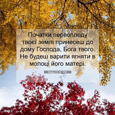 Picture 07 - Вихід 23:19 UKR - Початки первоплоду твоєї - Bible Verse Picture