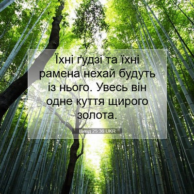 Picture 07 - Вихід 25:36 UKR - Їхні ґудзі та їхні рамена - Bible Verse Picture