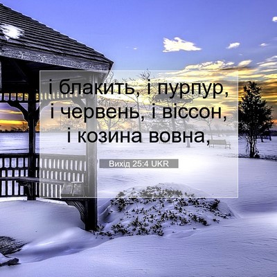 Picture 07 - Вихід 25:4 UKR - і блакить, і пурпур, і - Bible Verse Picture
