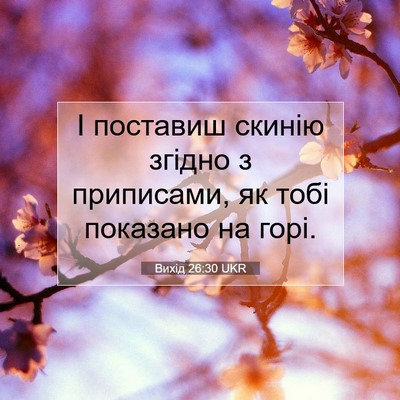 Picture 07 - Вихід 26:30 UKR - І поставиш скинію згідно з - Bible Verse Picture