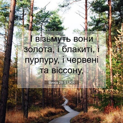 Picture 07 - Вихід 28:5 UKR - І візьмуть вони золота, і - Bible Verse Picture