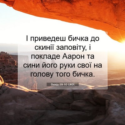 Picture 07 - Вихід 29:10 UKR - І приведеш бичка до скинії - Bible Verse Picture