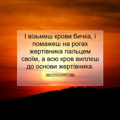 Picture 07 - Вихід 29:12 UKR - І візьмеш крови бичка, і - Bible Verse Picture