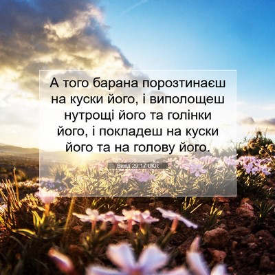 Picture 07 - Вихід 29:17 UKR - А того барана порозтинаєш - Bible Verse Picture