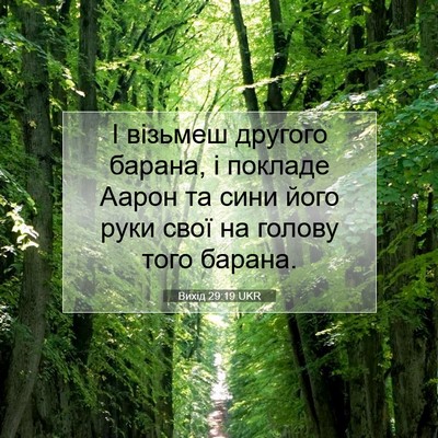 Picture 07 - Вихід 29:19 UKR - І візьмеш другого барана, і - Bible Verse Picture