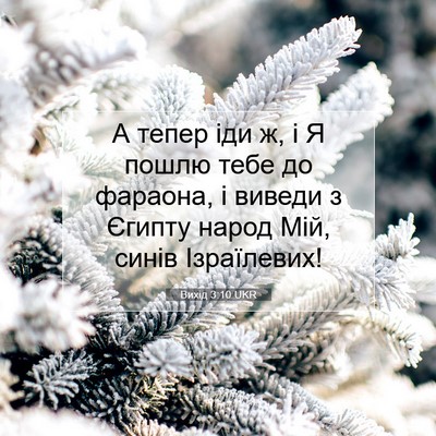 Picture 07 - Вихід 3:10 UKR - А тепер іди ж, і Я пошлю - Bible Verse Picture