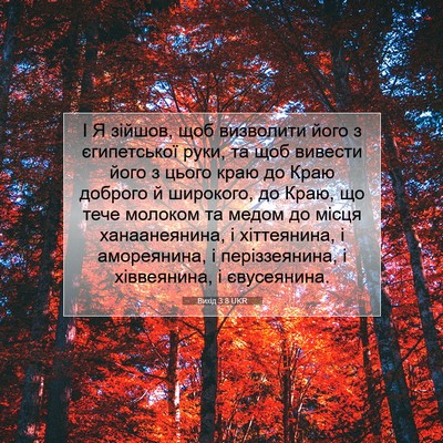 Picture 07 - Вихід 3:8 UKR - І Я зійшов, щоб визволити - Bible Verse Picture