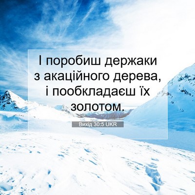 Picture 07 - Вихід 30:5 UKR - І поробиш держаки з - Bible Verse Picture