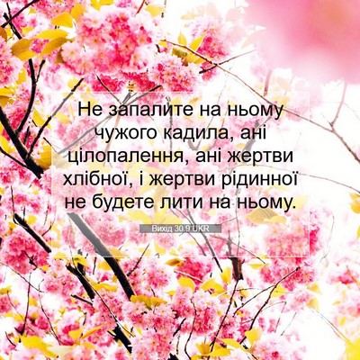 Picture 07 - Вихід 30:9 UKR - Не запалите на ньому - Bible Verse Picture