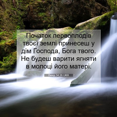 Picture 07 - Вихід 34:26 UKR - Початок первоплодів твоєї - Bible Verse Picture