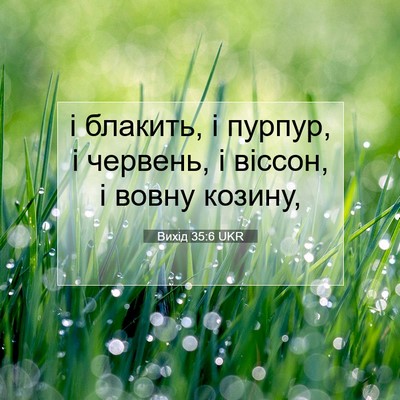 Picture 07 - Вихід 35:6 UKR - і блакить, і пурпур, і - Bible Verse Picture