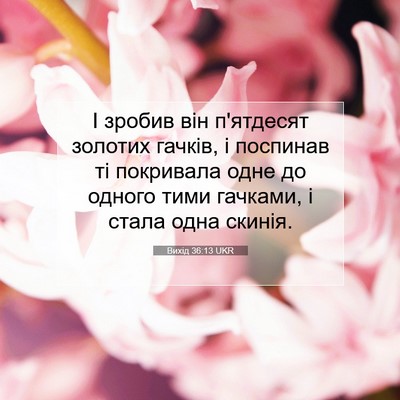 Picture 07 - Вихід 36:13 UKR - І зробив він п'ятдесят - Bible Verse Picture