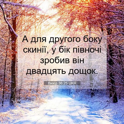 Picture 07 - Вихід 36:25 UKR - А для другого боку скинії, - Bible Verse Picture